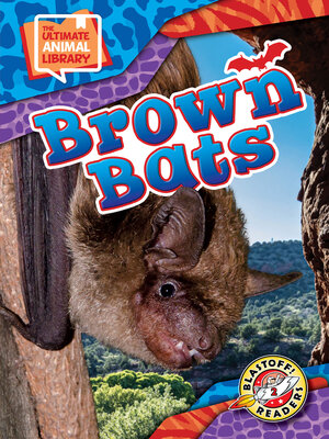 cover image of Brown Bats